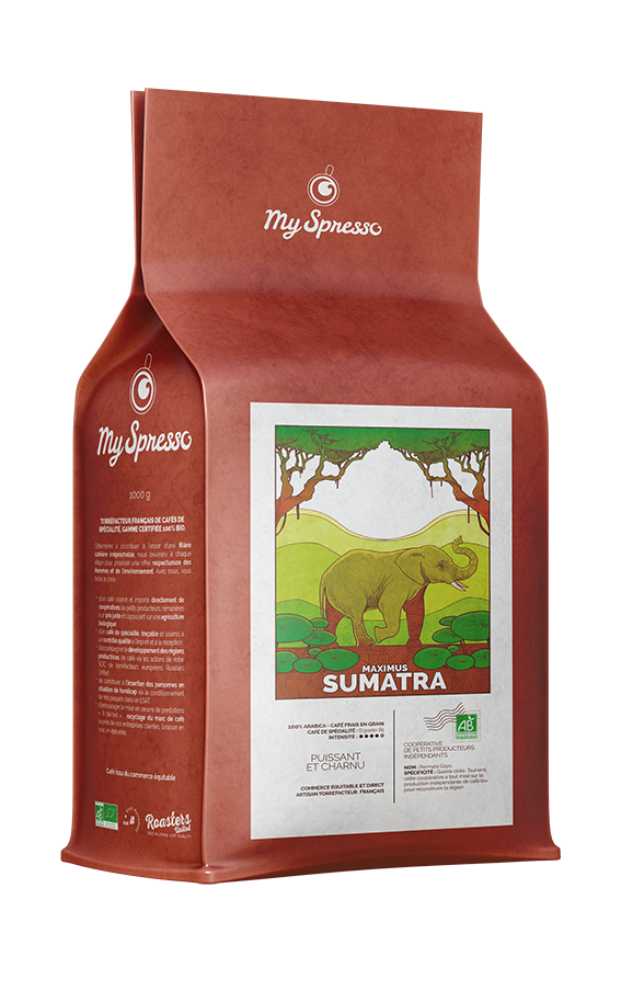 Cafe bio Sumatra 1kg en grain elephant Maximus entreprise myspresso coop Permata Gayo