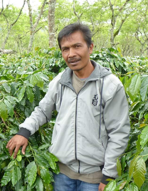 Producteur de café indonésien Saleh Permata Gayo Sumatra