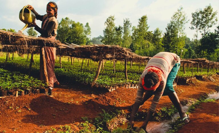 Productrice dans une plantation de café