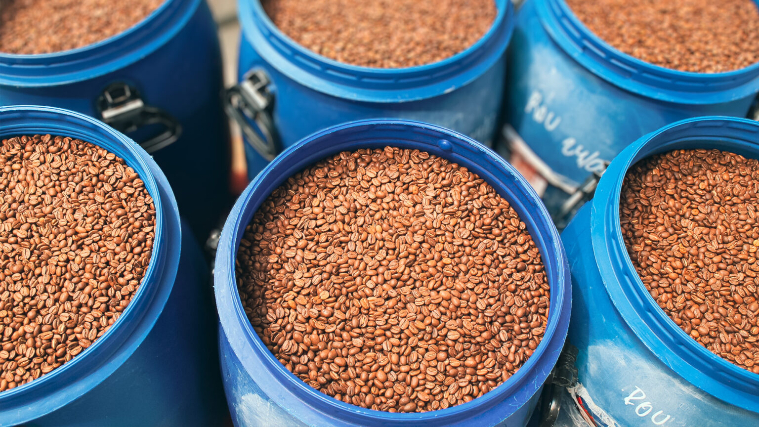 Seaux de café en grains en vrac