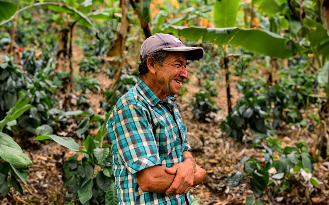 Comment est récolté le café bio ?