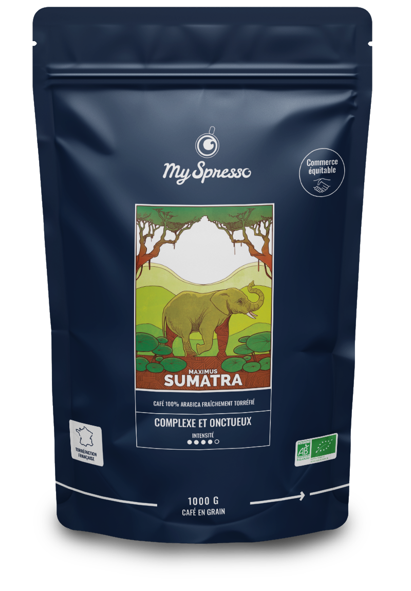 cafe myspresso maximus