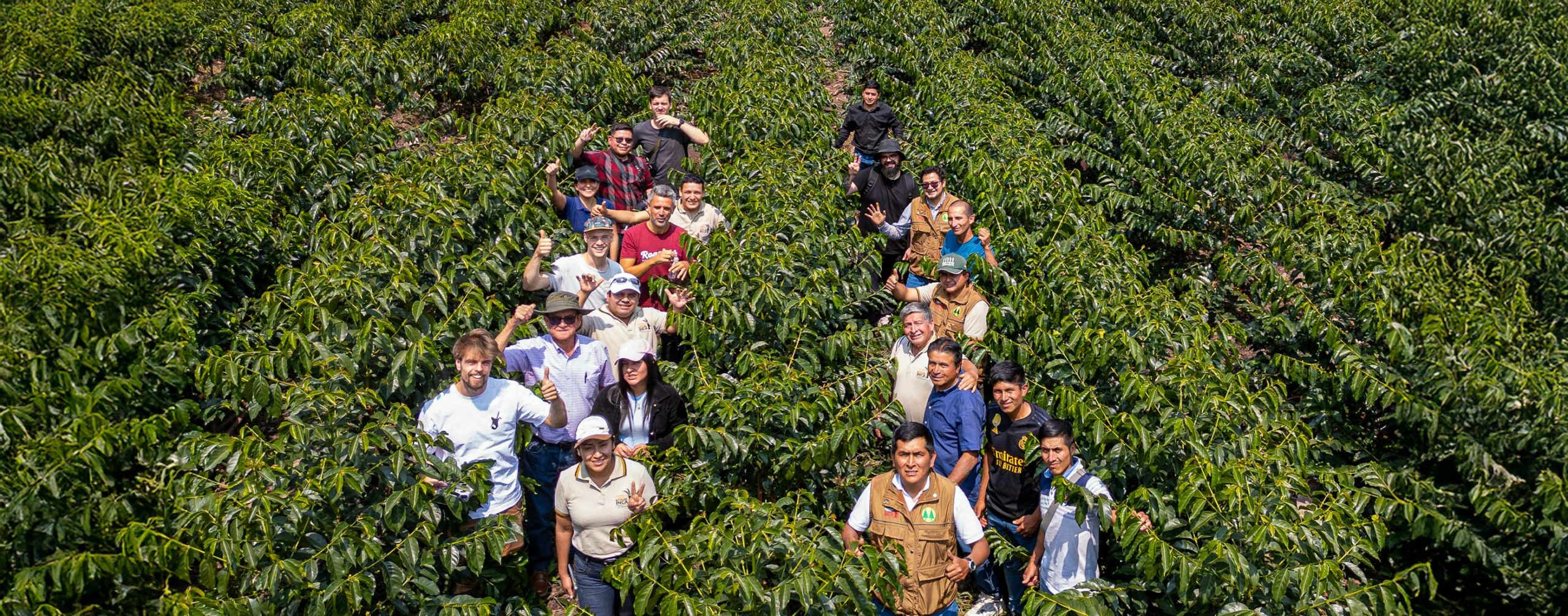 L’équipe Myspresso dans une plantation de café